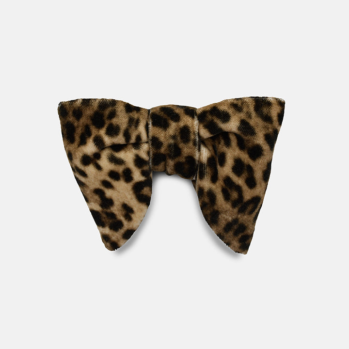 Modified Butterfly Large Bow Tie